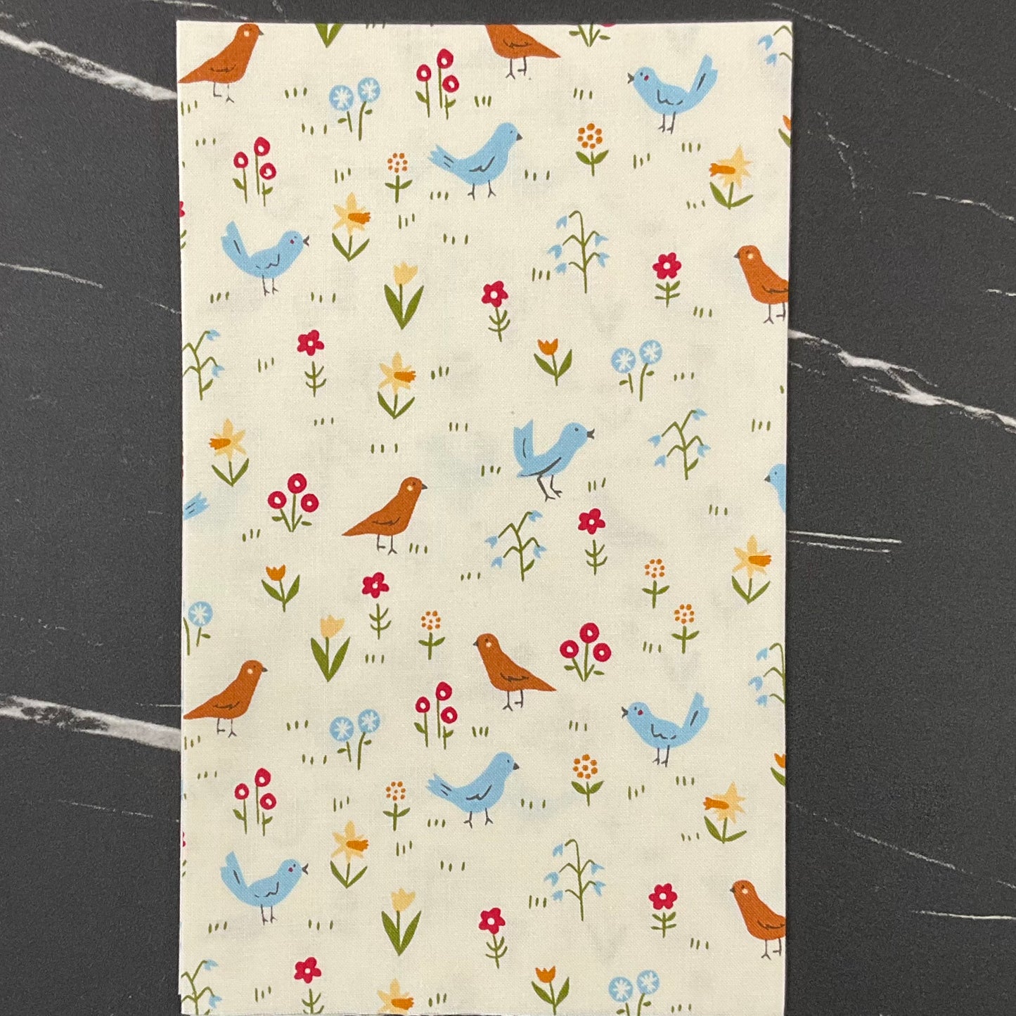Animal Park Fun by Stacy Iest Hsu : Fabric Bundles Including 3 Panels