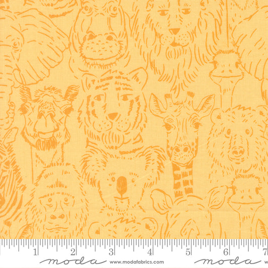 Animal Park Fun by Stacy Iest Hsu : One Big Happy Family Banana 20962 19