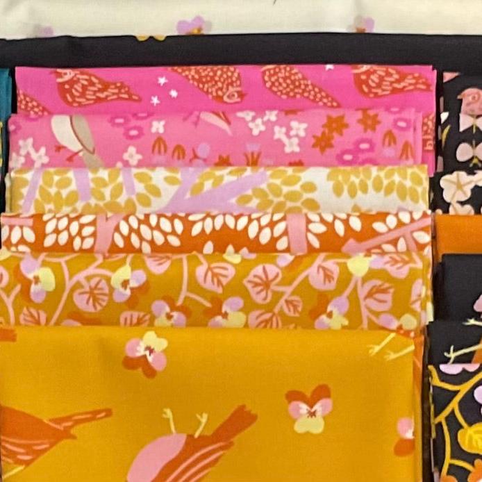 Bird is the Word by Kimberly Kight : Stash-n-Dash Quilt Kit