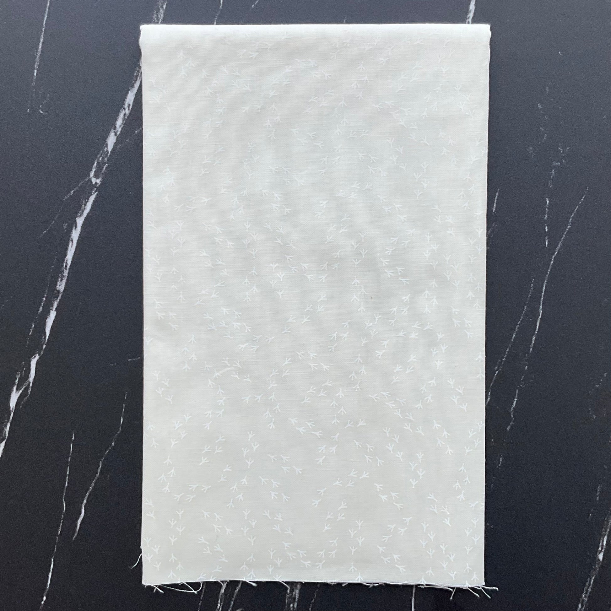 Birdsong : Gingiber : Bird Feet Cloud 48358 21