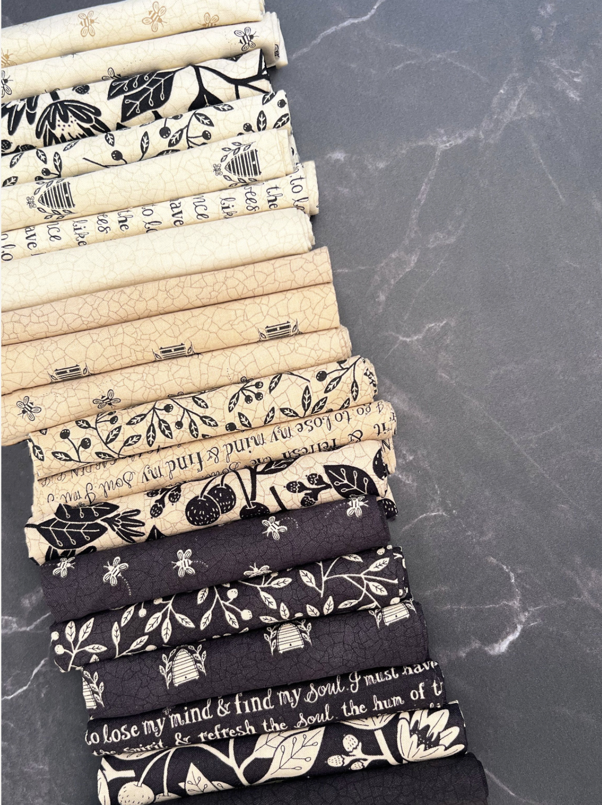 Bloom & Grow by Kathy Schmitz : Charm Pack