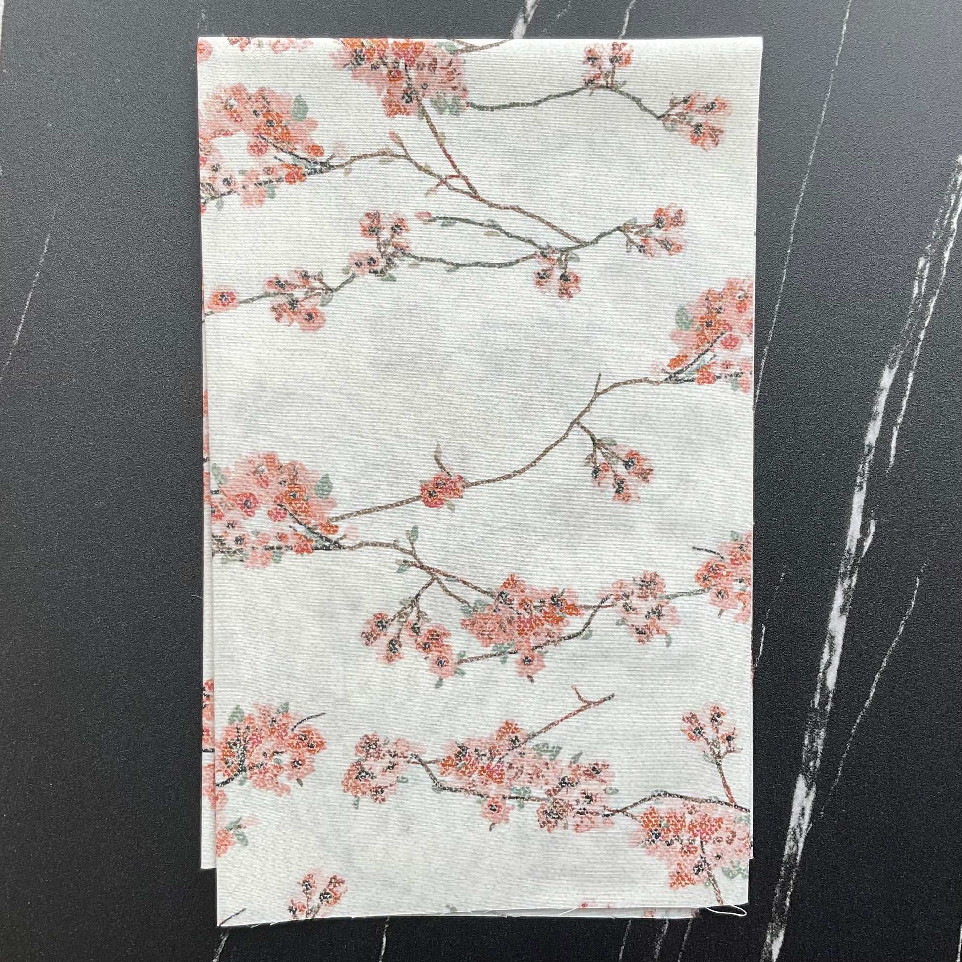 Botanist by Katarina Roccella : Blossoming Daphne