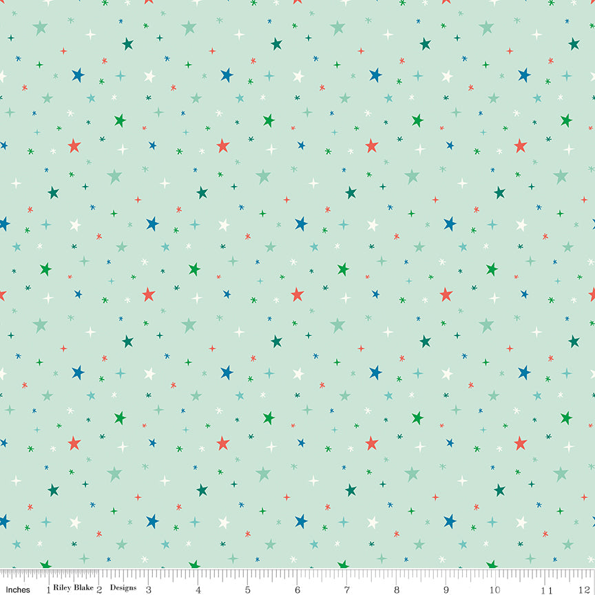 Brave Your Way by Cayla Naylor Design : Beyond the Stars Mint C18314-MINT