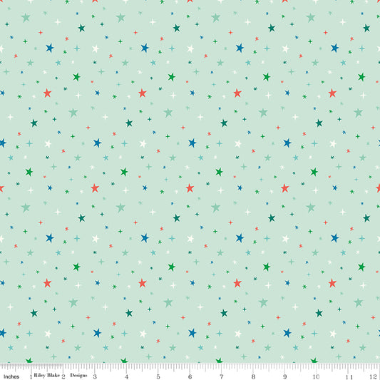 Brave Your Way by Cayla Naylor Design : Beyond the Stars Mint C18314-MINT