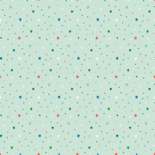 Brave Your Way by Cayla Naylor Design : Beyond the Stars Mint C18314-MINT