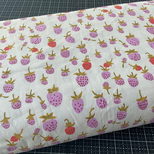 Briar Rose by Heather Ross : Strawberry 37024W-2DES 108" Wideback