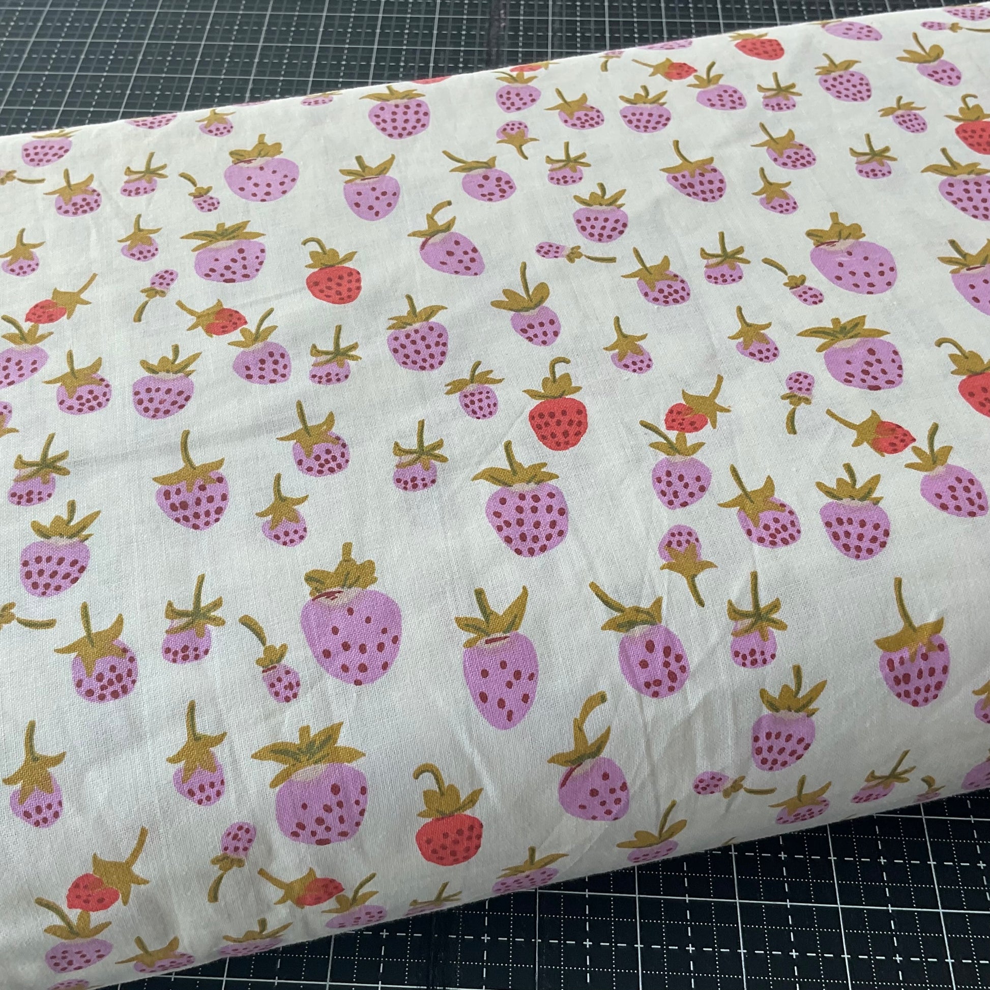 Briar Rose by Heather Ross : Strawberry 37024W-2DES 108" Wideback