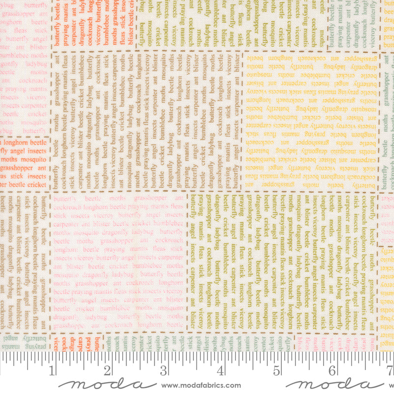 Bug Collector by Sweetwater : In the News Cloud 55730 11