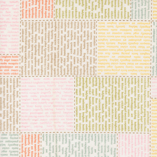 Bug Collector by Sweetwater : In the News Cloud 55730 11
