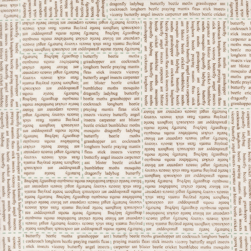 Bug Collector by Sweetwater : In the News Cloud Dirt 55730 21