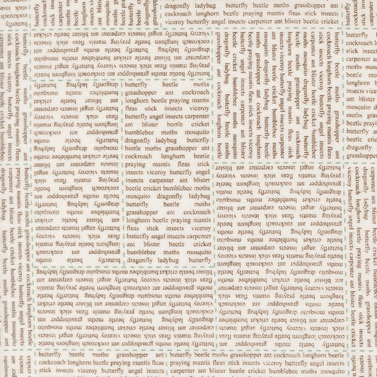Bug Collector by Sweetwater : In the News Cloud Dirt 55730 21