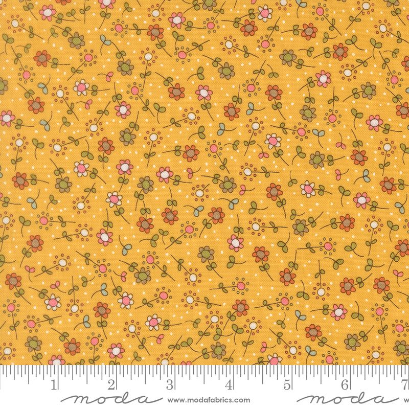 Bug Collector by Sweetwater : Meadow Sunshine 55733 15