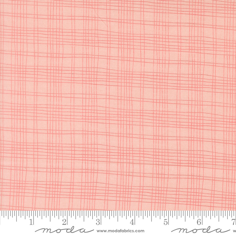 Bug Collector by Sweetwater : Plaid Blush 55737 14