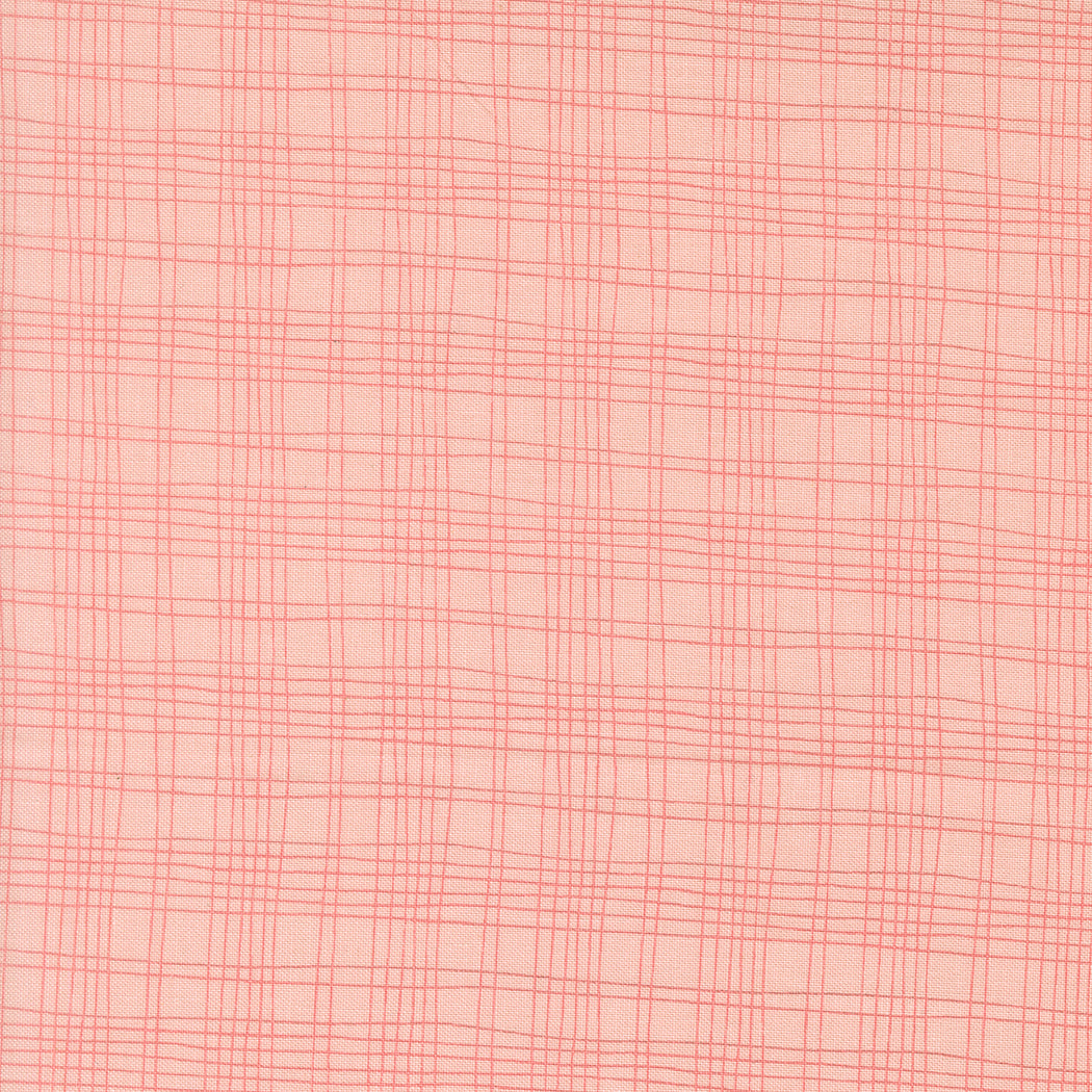 Bug Collector by Sweetwater : Plaid Blush 55737 14
