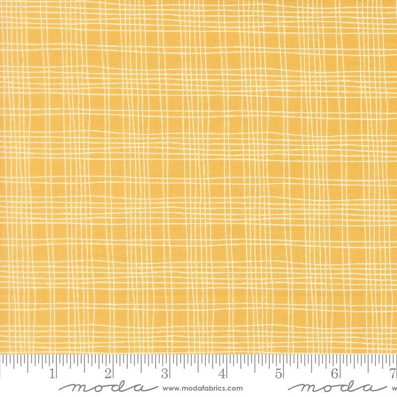 Bug Collector by Sweetwater : Plaid Sunshine 55737 15