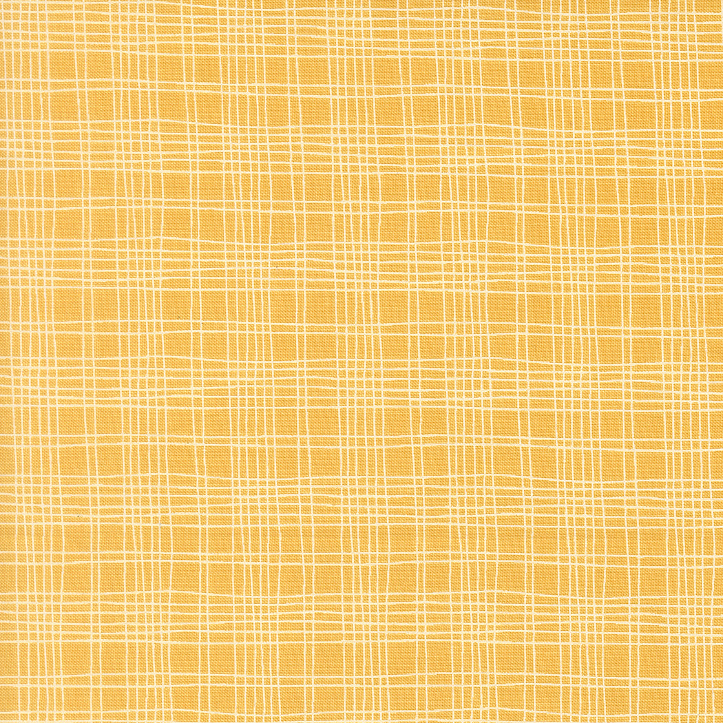 Bug Collector by Sweetwater : Plaid Sunshine 55737 15
