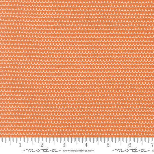 Bug Collector by Sweetwater : Squiggles Orange 55735 26