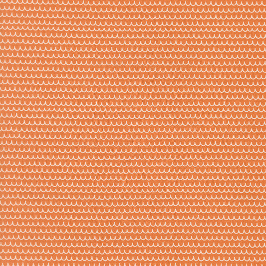 Bug Collector by Sweetwater : Squiggles Orange 55735 26