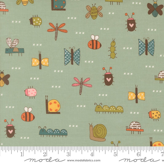 Bug Collector by Sweetwater : The Bugs Sky 55731 12