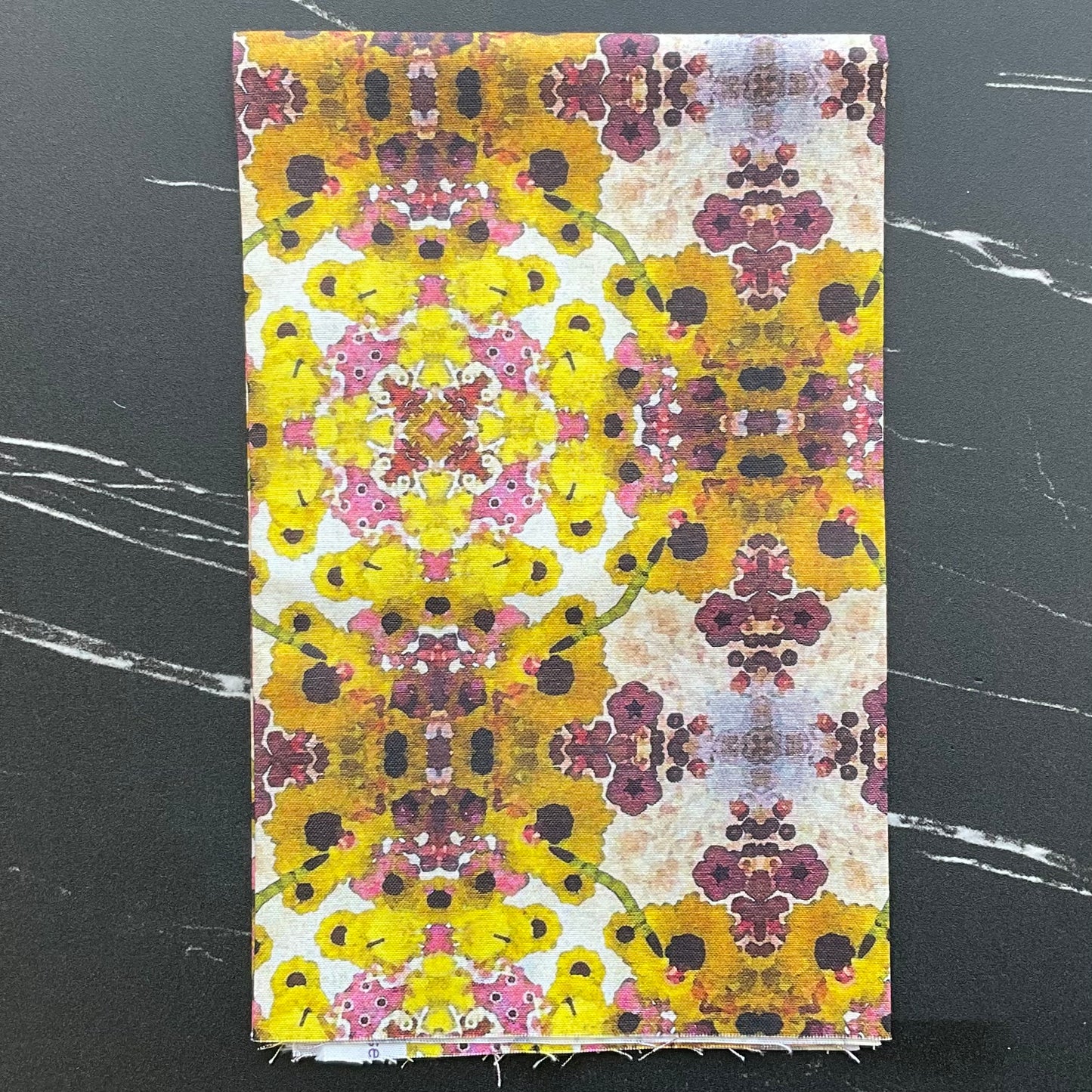 Butterfly Garden by Winterprint - Dragonfly Dance Multi - PWWP006.XMULTI