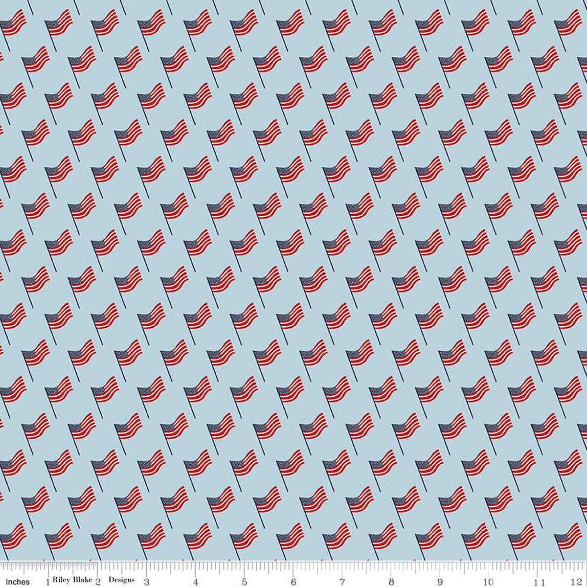 Stars and Stripes Forever by Lori Whitlock - Flags Sky C15713-SKY