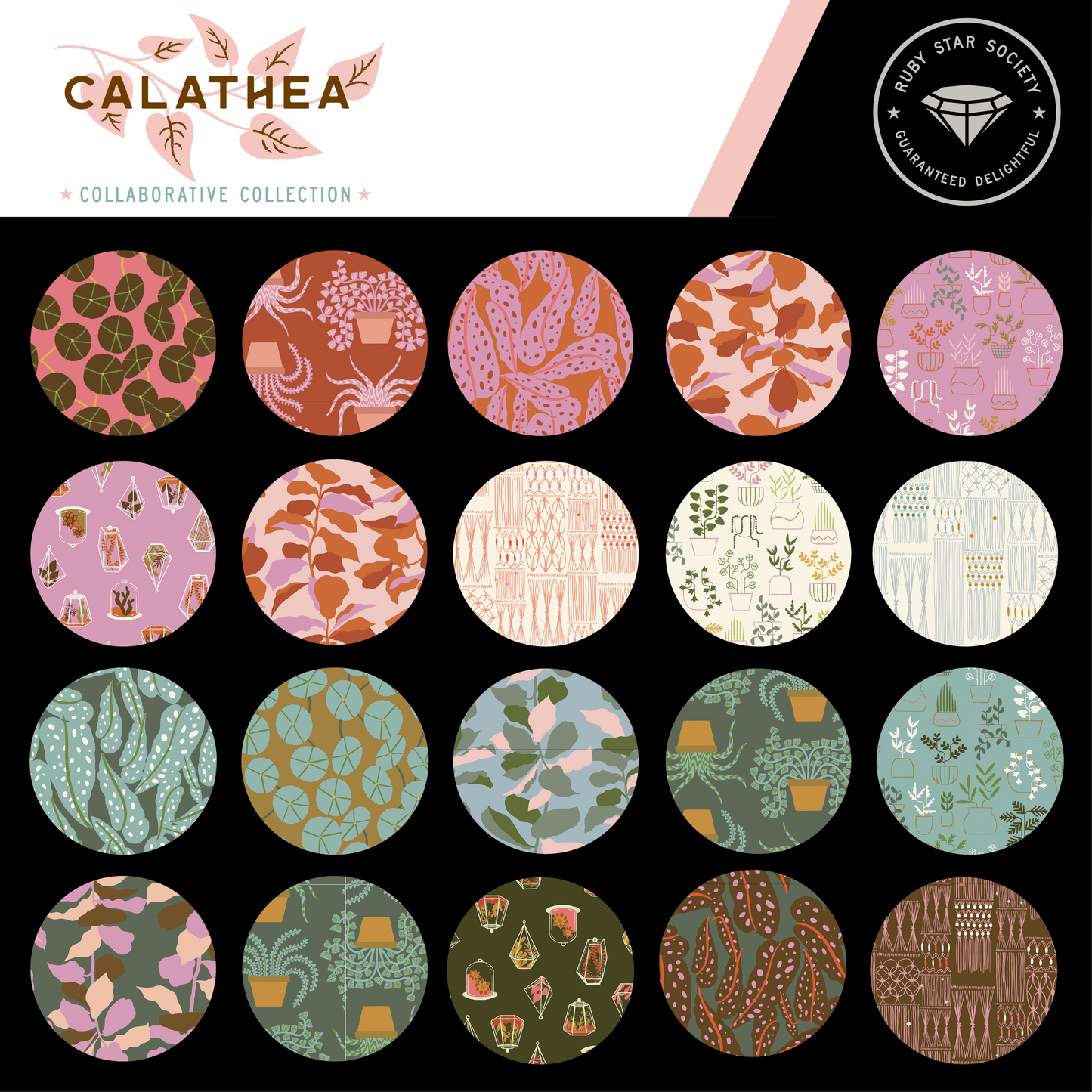 Calathea by Ruby Star Society Collaborative : Charm Pack