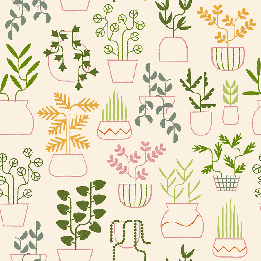 Calathea by Ruby Star Society Collaborative : Fabric Bundles