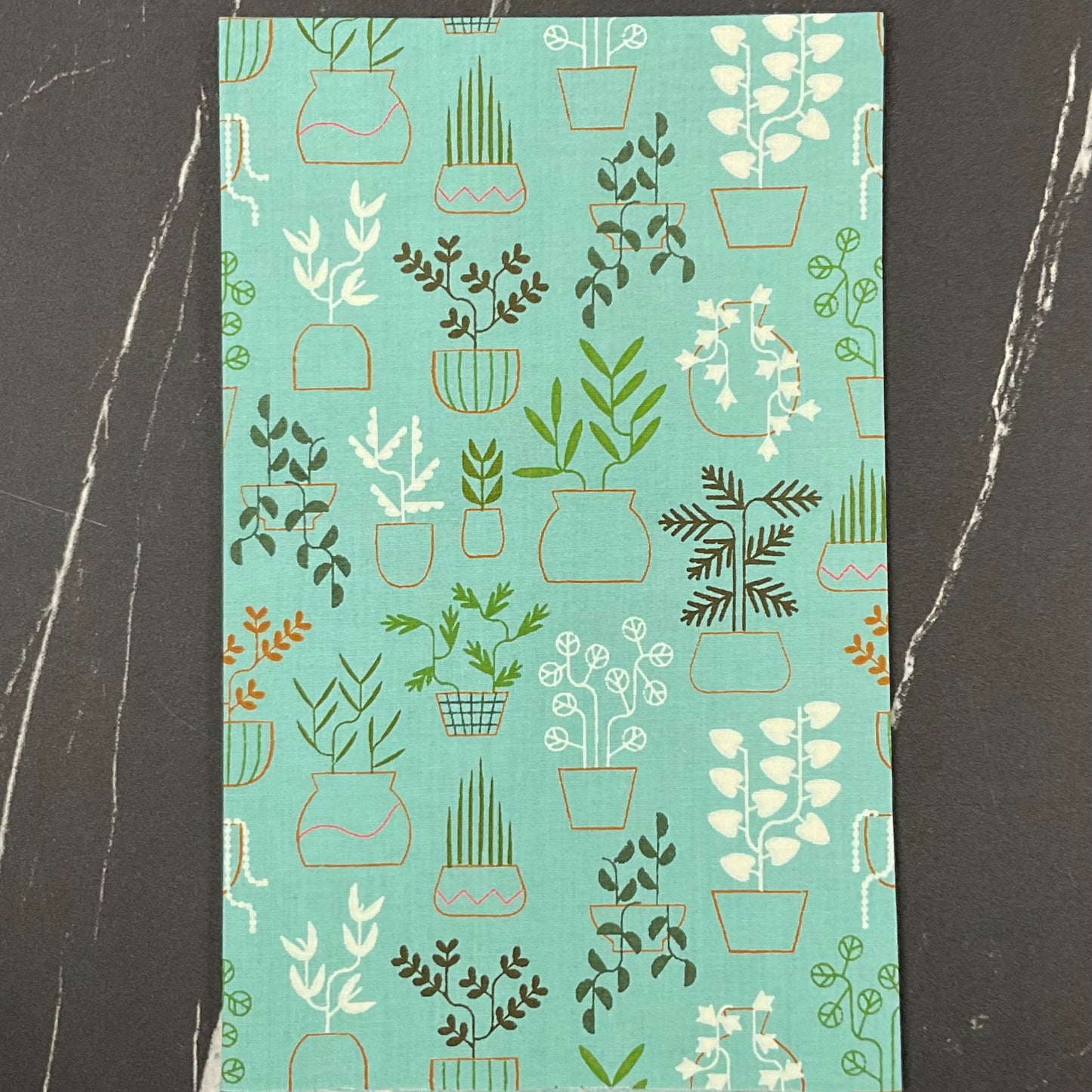 Calathea by Ruby Star Society Collaborative : Fabric Bundles