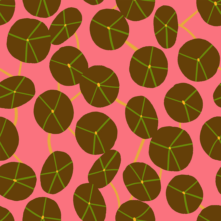 Calathea by Ruby Star Society Collaborative : Pilea Strawberry RS5188 14