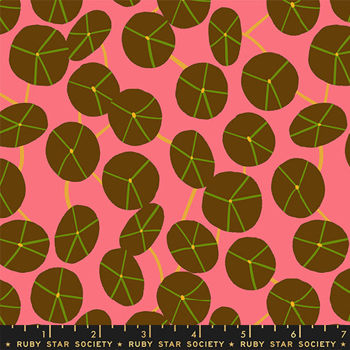 Calathea by Ruby Star Society Collaborative : Pilea Strawberry RS5188 14