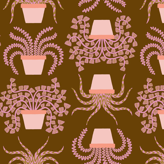 Calathea by Ruby Star Society : Planties Cocoa RS5182 12 (Estimated Arrival November 2025)