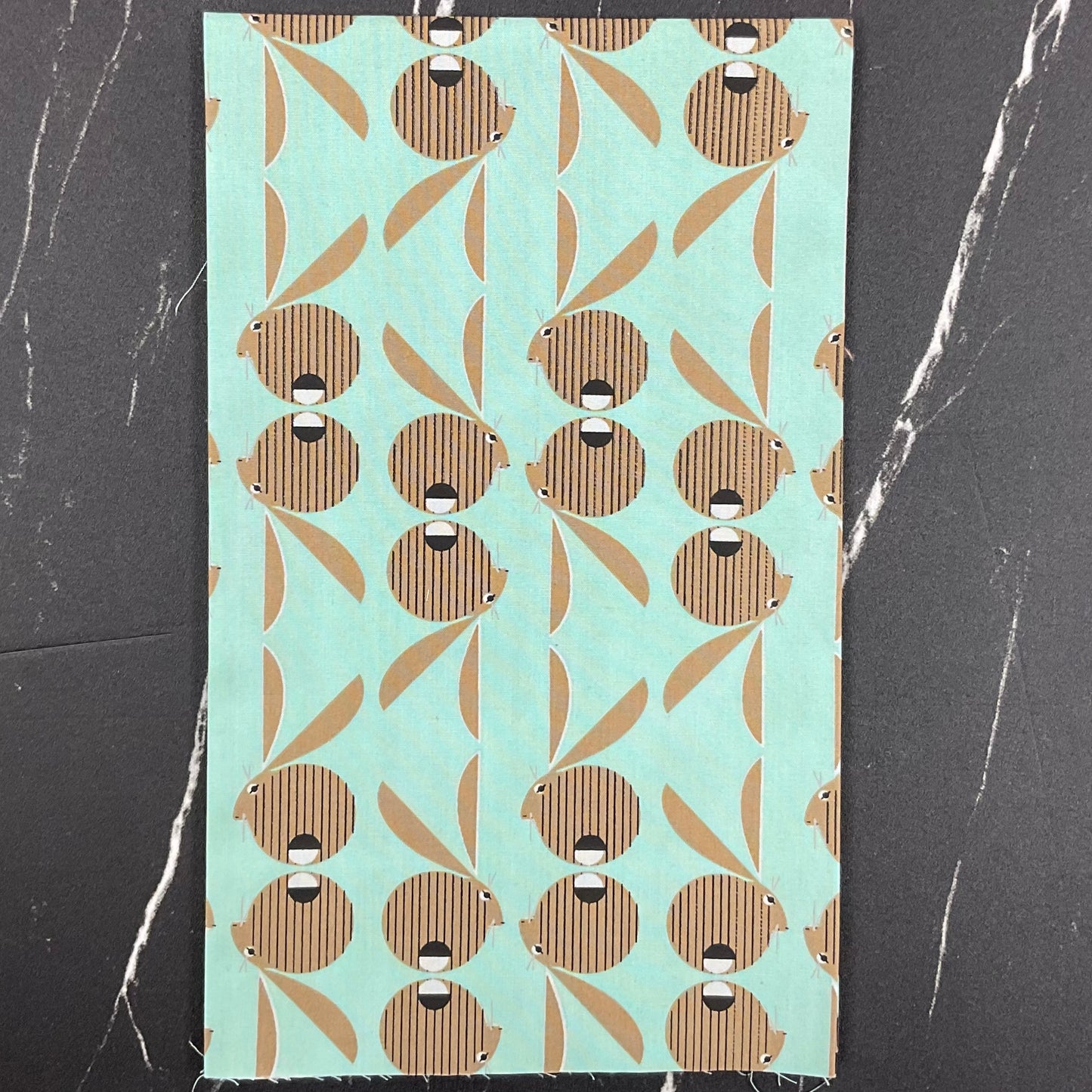 Canyon Country by Charley Harper : Bundles