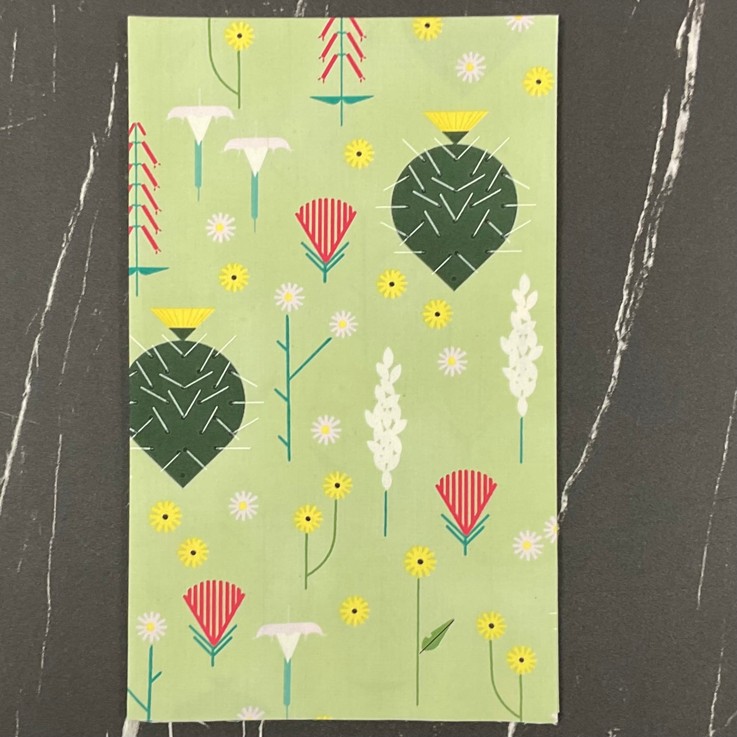 Canyon Country by Charley Harper: Canyon Flower Field CH-430