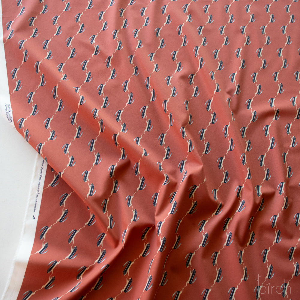 Canyon Country by Charley Harper: Canyon Chipmunk CH-427