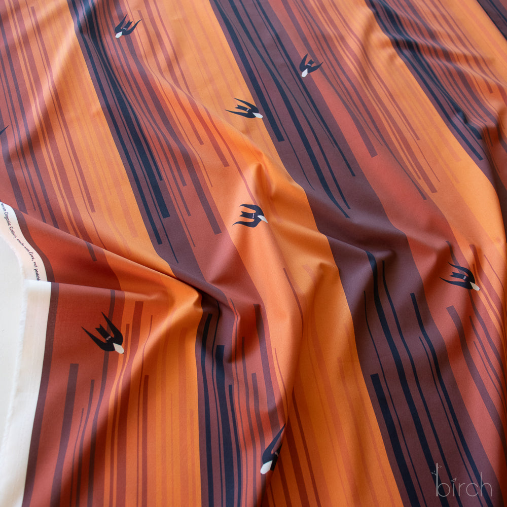 Canyon Country by Charley Harper: Canyon Wall Dive CH-426