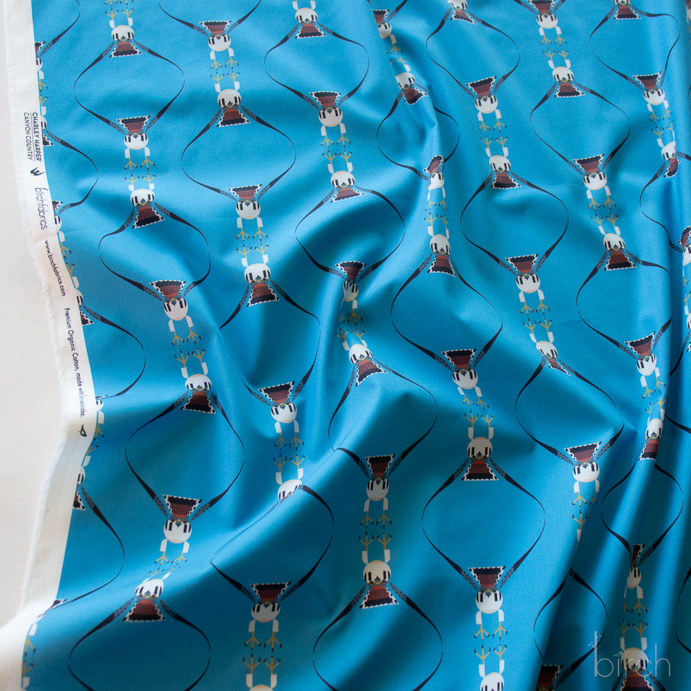 Canyon Country by Charley Harper: Falcon Flight CH-432