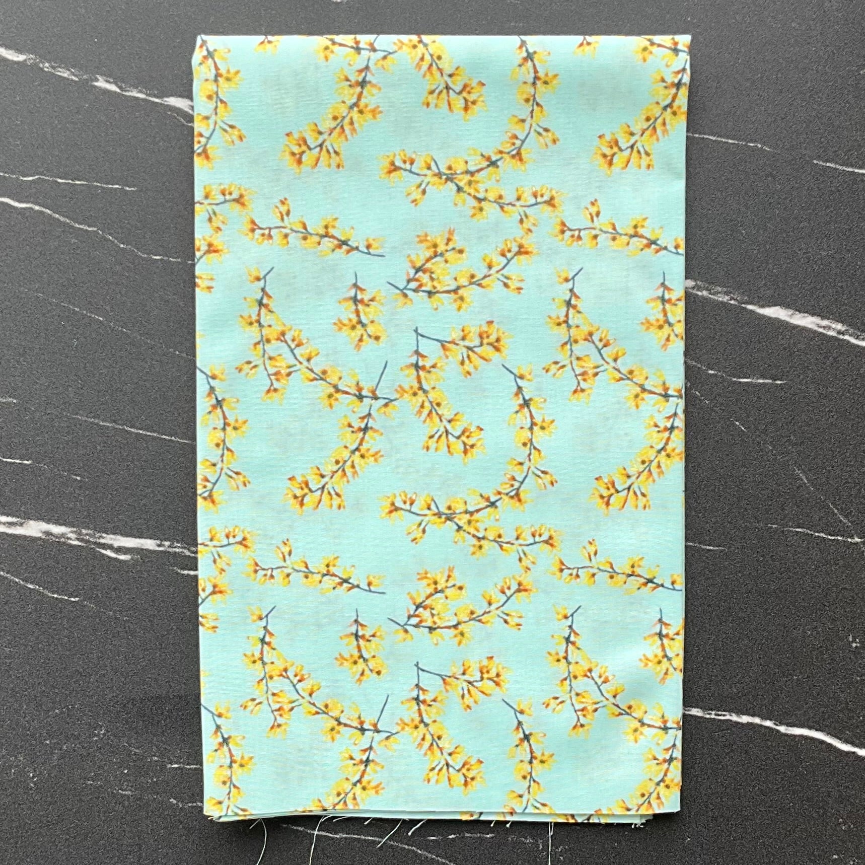 Capri by Katarina Roccella