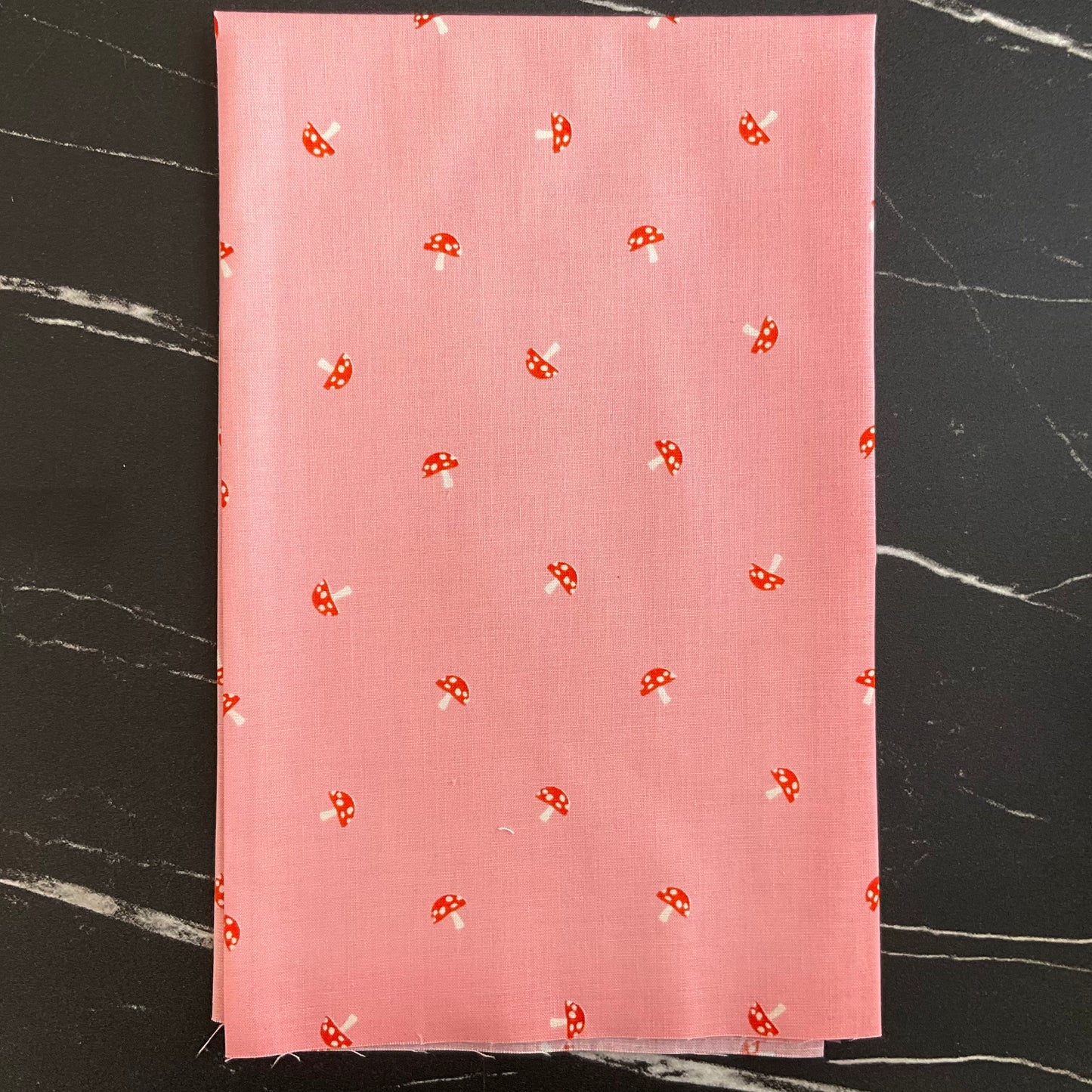 Carousel by Melody Miller : Bundles