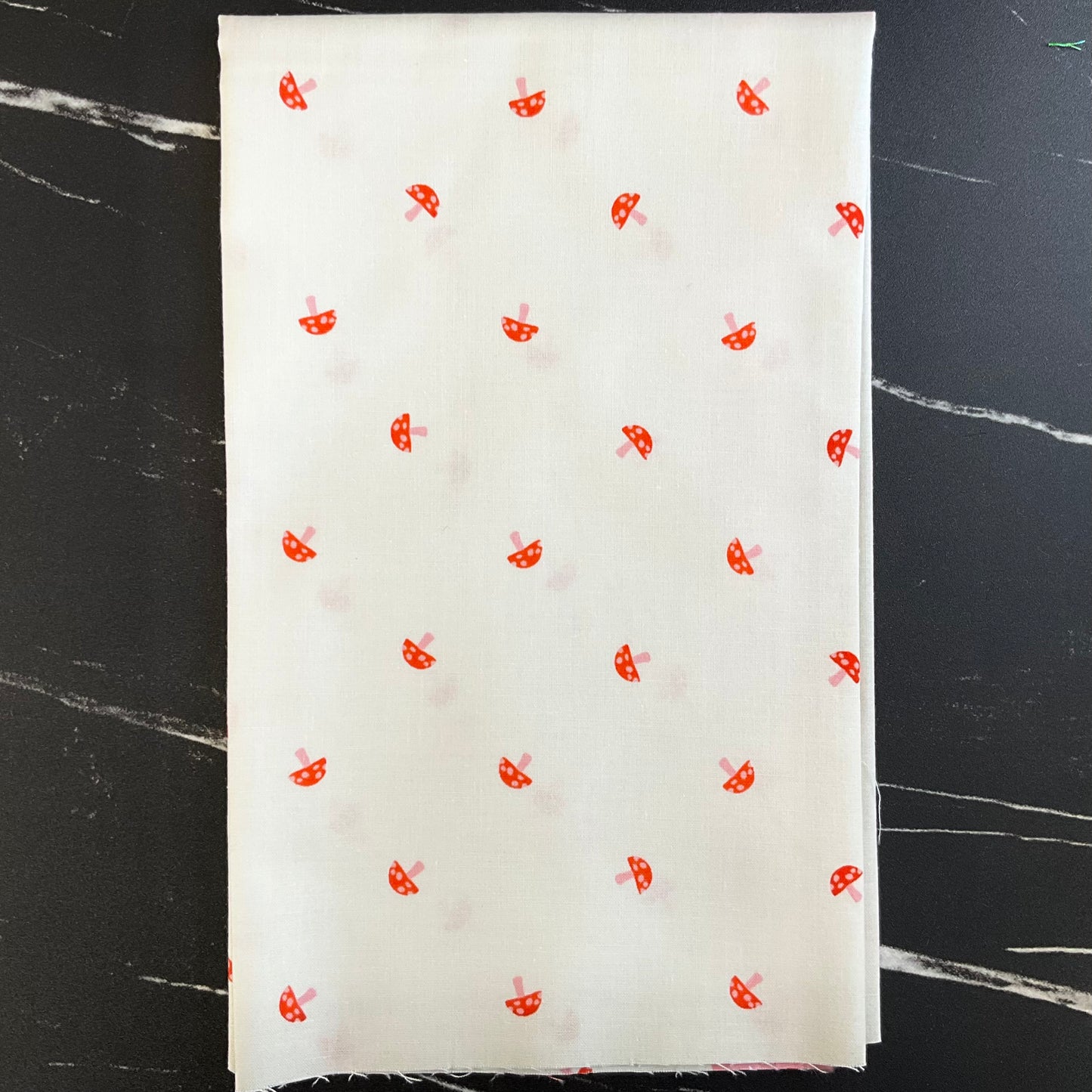 Carousel by Melody Miller : Bundles