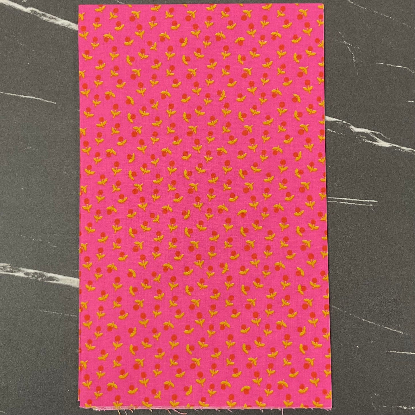 Catnap by Alexia Marcelle Abegg : Fabric Bundles