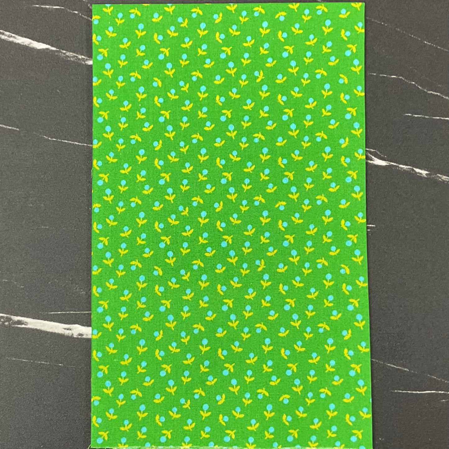 Catnap by Alexia Marcelle Abegg : Fabric Bundles