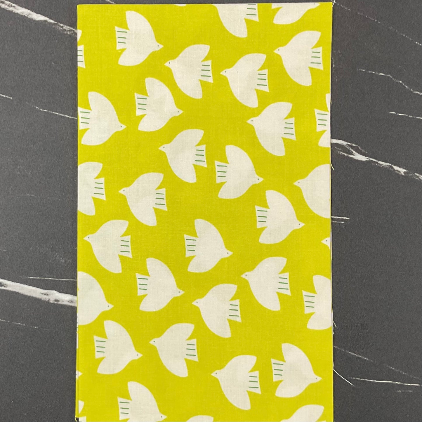 Catnap by Alexia Marcelle Abegg : Fabric Bundles