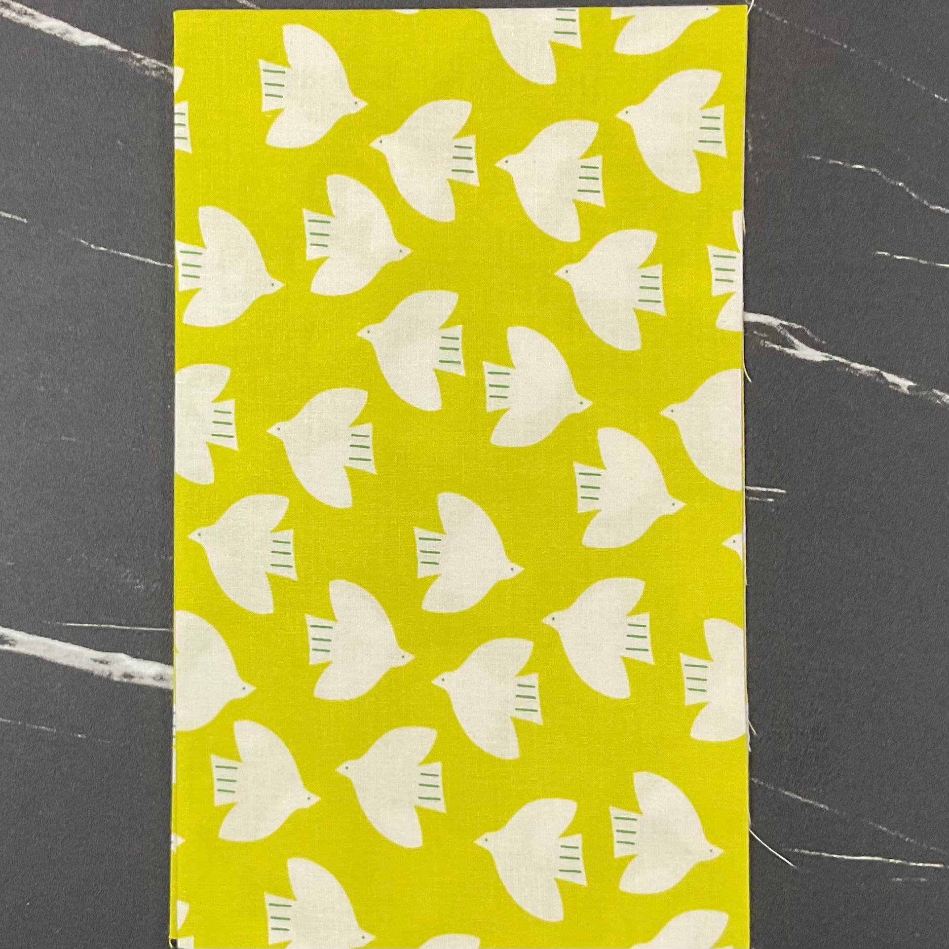 Catnap by Alexia Marcelle Abegg : Fabric Bundles