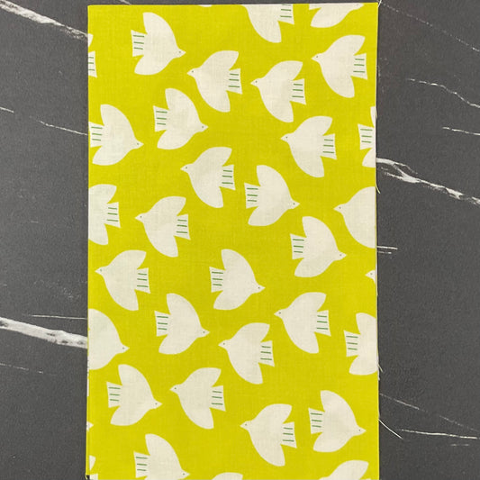 Catnap by Alexia Marcelle Abegg : Fabric Bundles