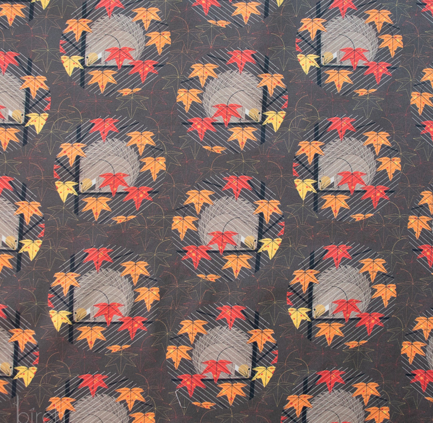 Charley Harper Harvest Vol. 3 Squirrel in a Squall Poplin CH-415