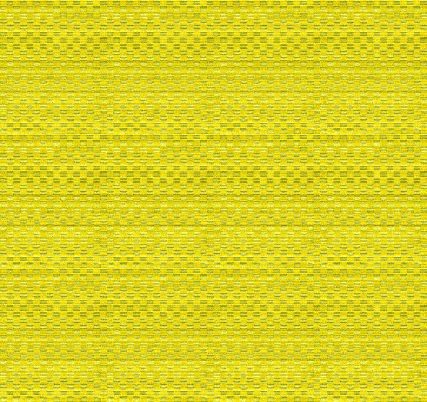 Check Mates by Anna Maria Textiles : Gameboard Spring WAMT109-72C