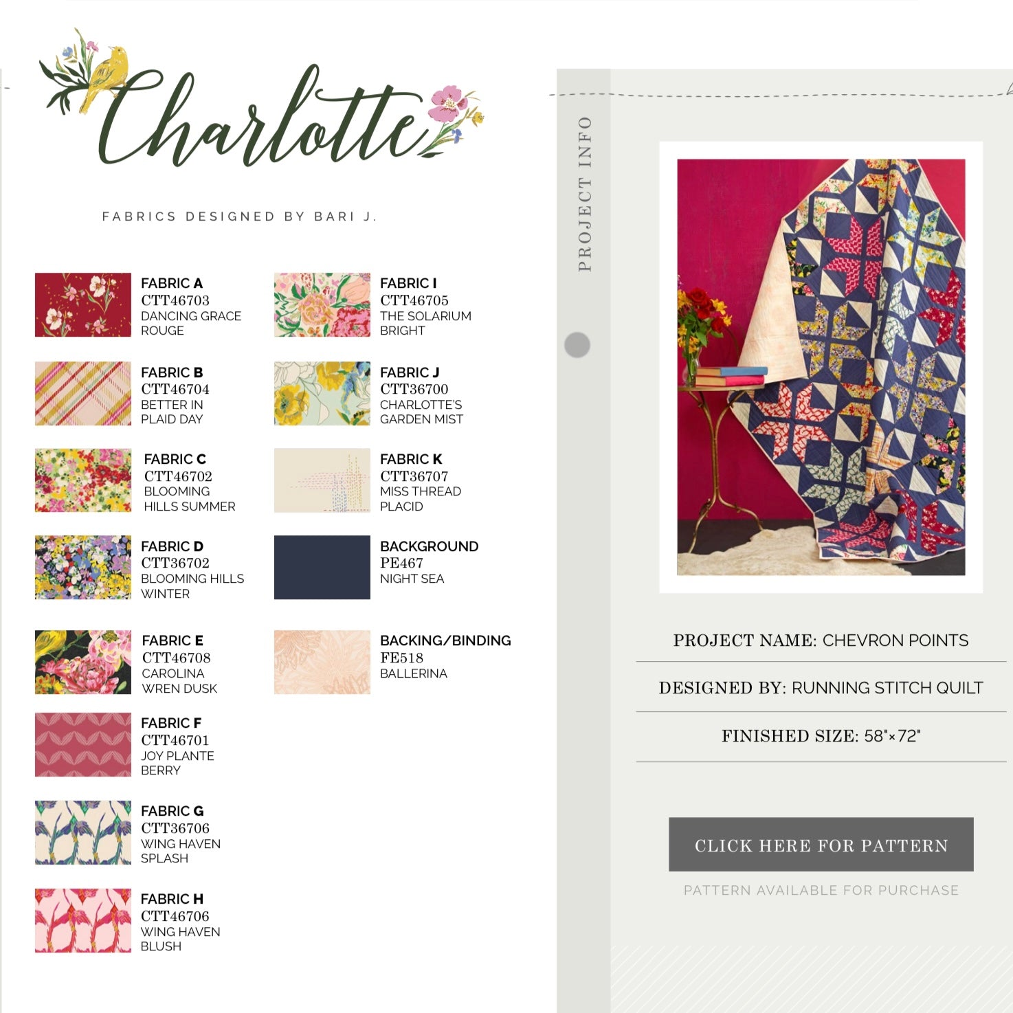 Chevron Stars Quilt Kit featuring Charlotte by Bari J.