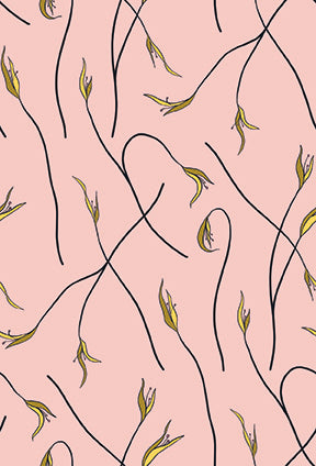 Cockatoos, Peaches & Pears by Kristina Hultkrantz : Flat Fat Stack 6 PC Ecru 120FQCPPECRU