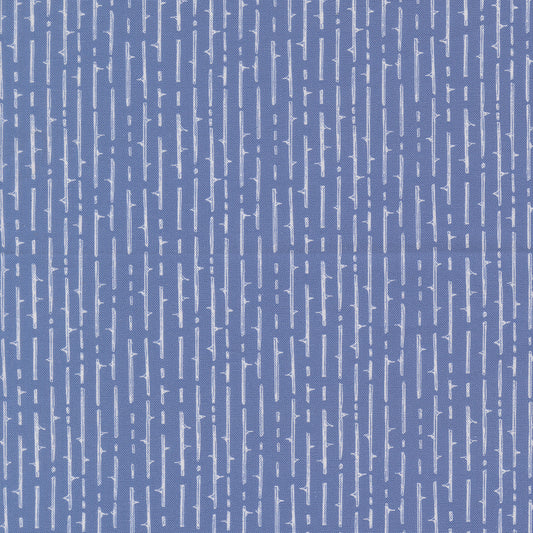 Coven by Robin Pickens : Fabric Bundles