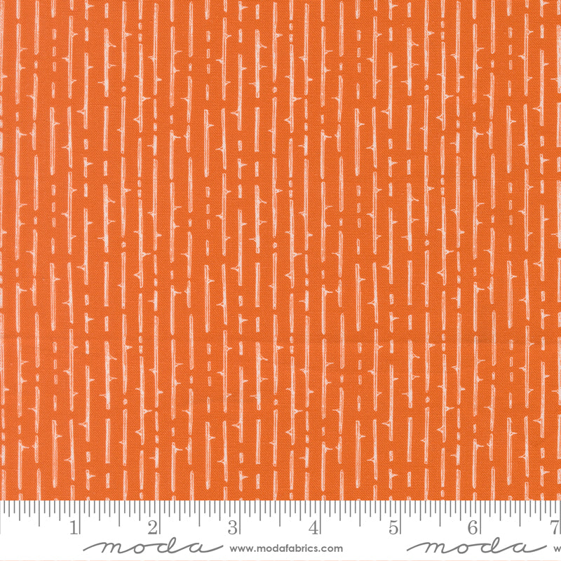 Coven by Robin Pickens : Thorny Stripes Pumpkin Spice 48806 13